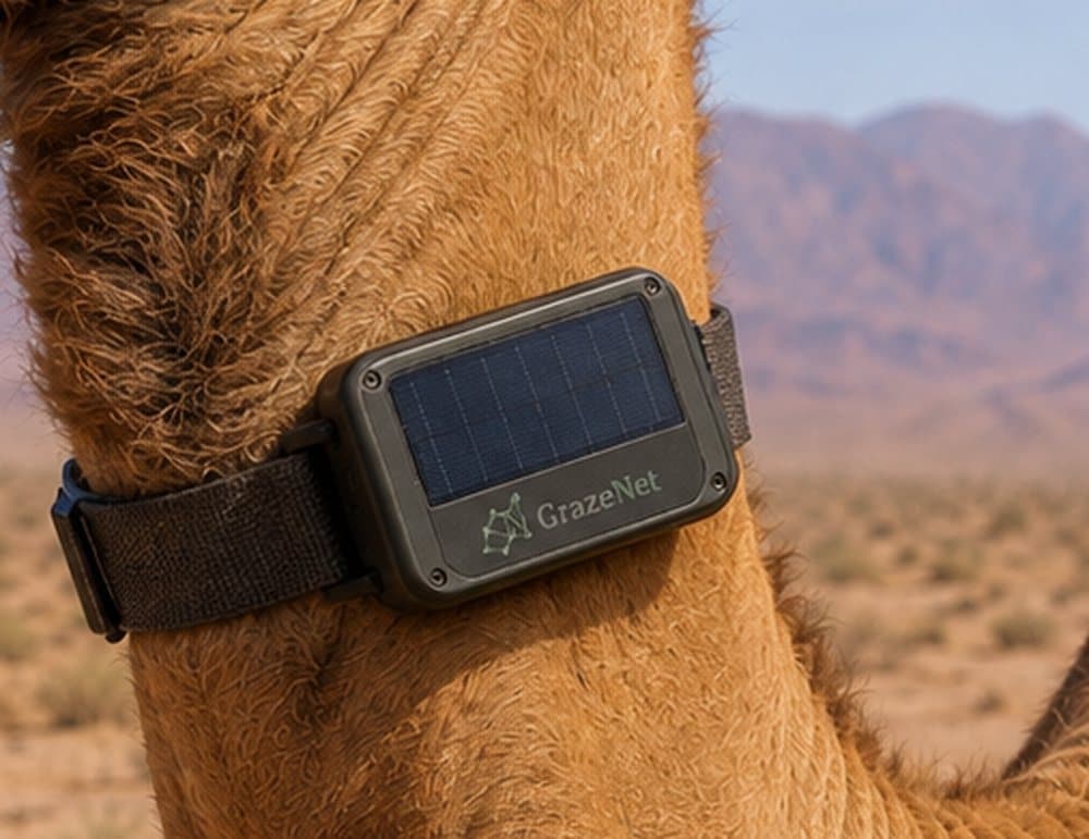 Close view of the collar: a solar panel across the face of the housing, carried on a flat woven strap.